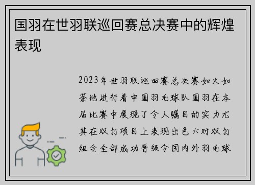 国羽在世羽联巡回赛总决赛中的辉煌表现