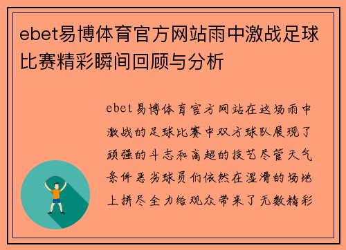 ebet易博体育官方网站雨中激战足球比赛精彩瞬间回顾与分析